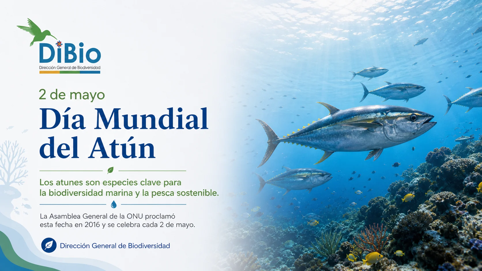Día Mundial del Atún